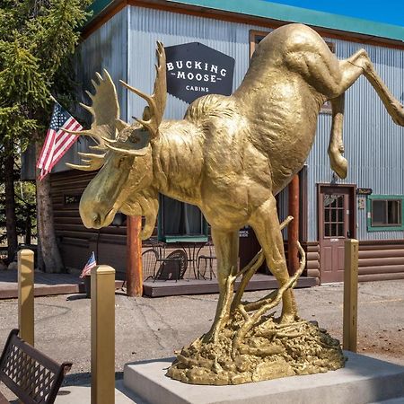 The Bucking Moose Hotel West Yellowstone Exterior foto